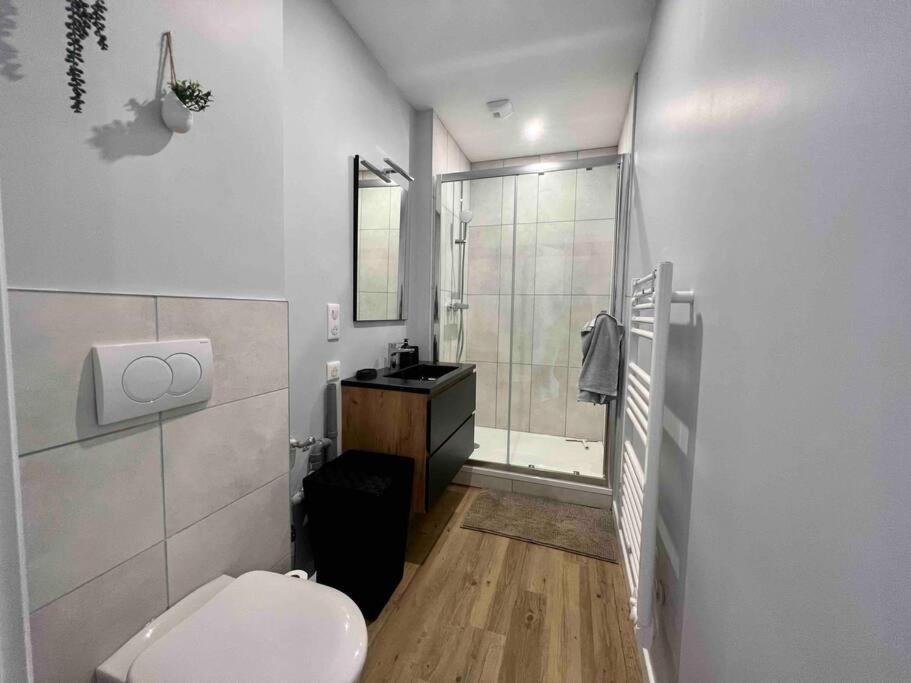 Appartement Climatise 4 Personnes / Centre-Ville Besancon Luaran gambar